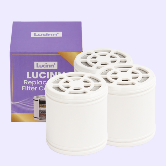 Rain Showerhead Filter 3x Bundle