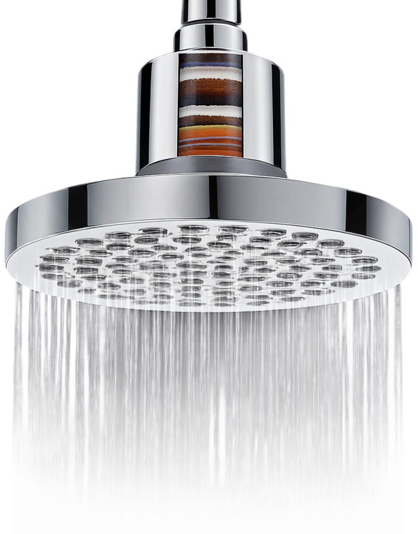 lucinn wall-mounted filtered showerhead