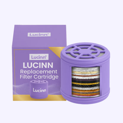 Rain Showerhead Filter Cartridge