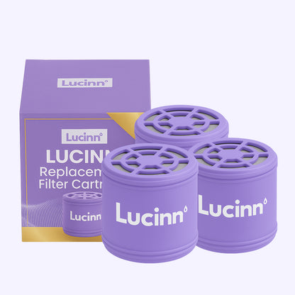 Rain Showerhead Filter Cartridge 3x Bundle